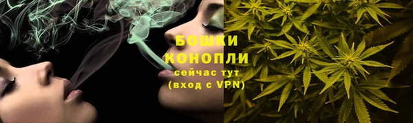 ГАЛЛЮЦИНОГЕННЫЕ ГРИБЫ Аркадак