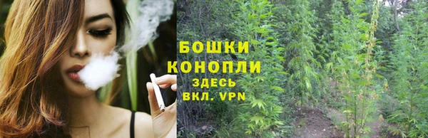 ГАЛЛЮЦИНОГЕННЫЕ ГРИБЫ Аркадак
