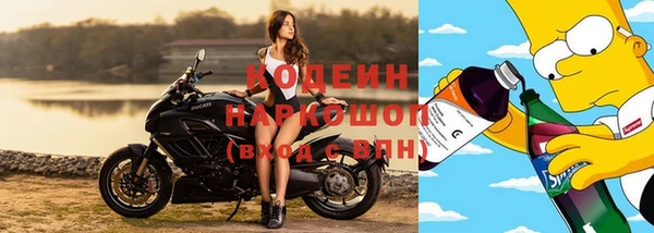 ГАЛЛЮЦИНОГЕННЫЕ ГРИБЫ Аркадак